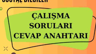 hazırlık (4) - Onur AKMEŞE