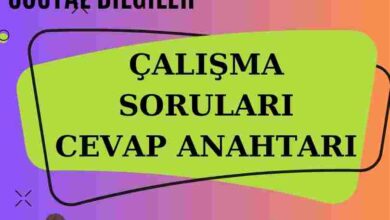 hazırlık - Onur AKMEŞE