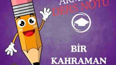 onur akmeşe (7) - Onur AKMEŞE